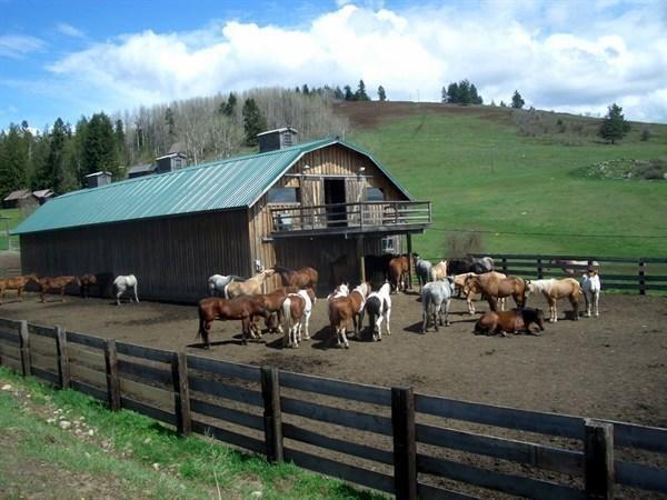 Hotel Bull Hill Guest Ranch Marble Exterior foto